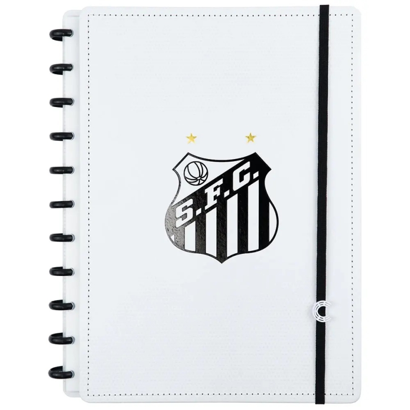 CADERNO INTELIGENTE GRANDE SANTOS