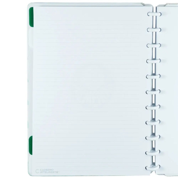 CADERNO INTELIGENTE PALMEIRAS ALVIVERDE - Imagem 9