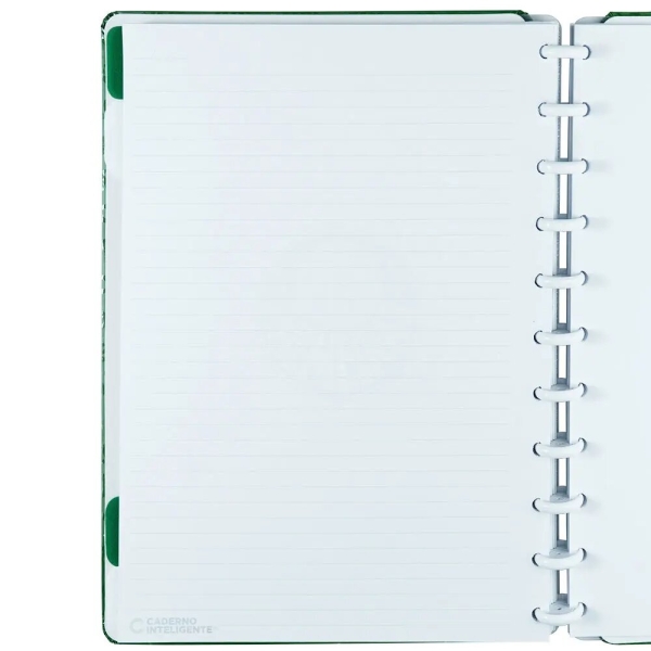 CADERNO INTELIGENTE PALMEIRAS VERDAO - Imagem 7