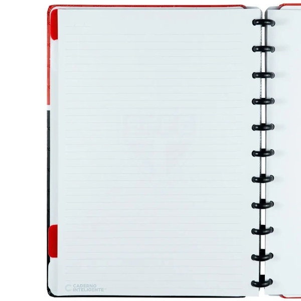 CADERNO INTELIGENTE SAO PAULO SOBERANO - Imagem 6