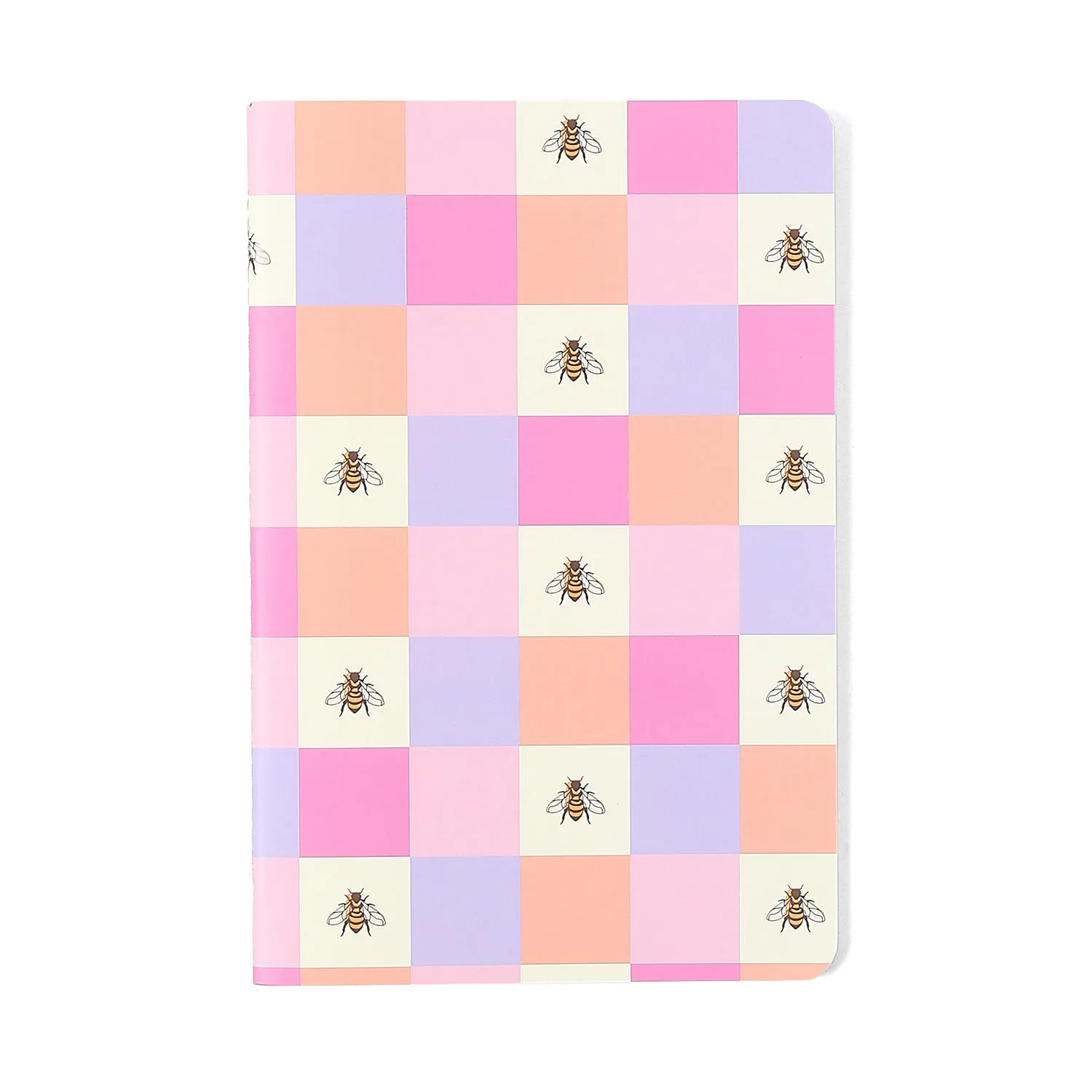 CADERNETA REVISTA NOTAS MIX CICERO MIOLOS DIFERENTES 3 UNDS - Imagem 8