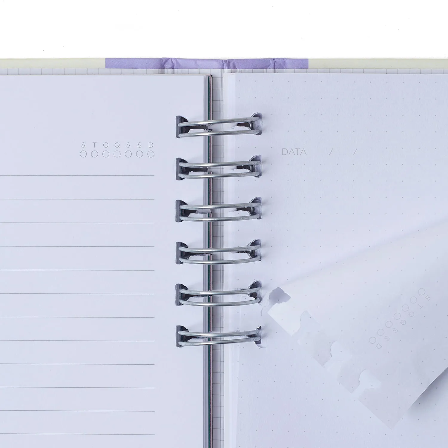 CADERNO ORGANIZADOR PAUTADO PONTADO A5 CICERO MELISSA PINK B - Imagem 2