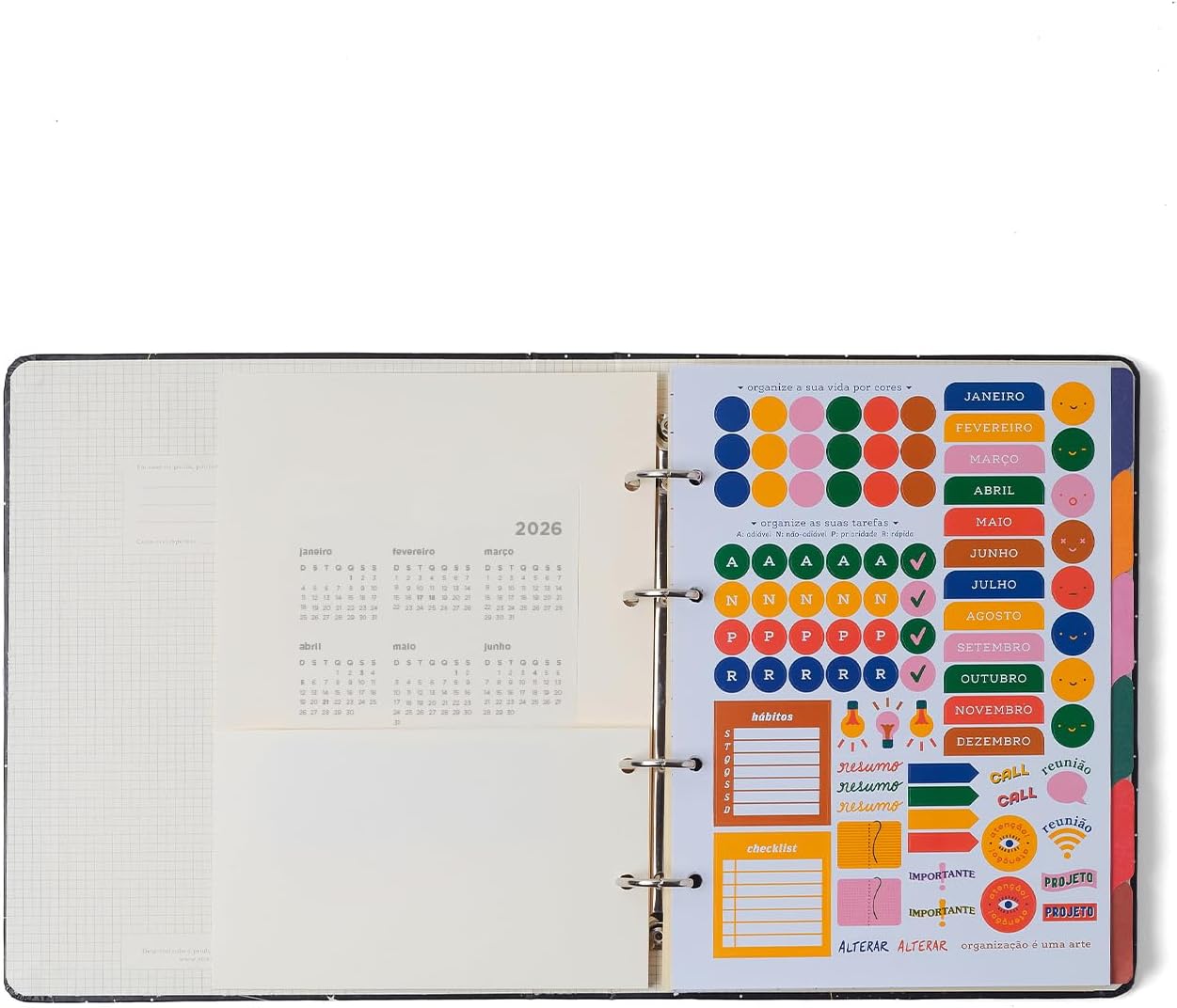 CADERNO CRIATIVO CICERO PRAIA PAUTADO 17X24 CACHORROS - Imagem 9