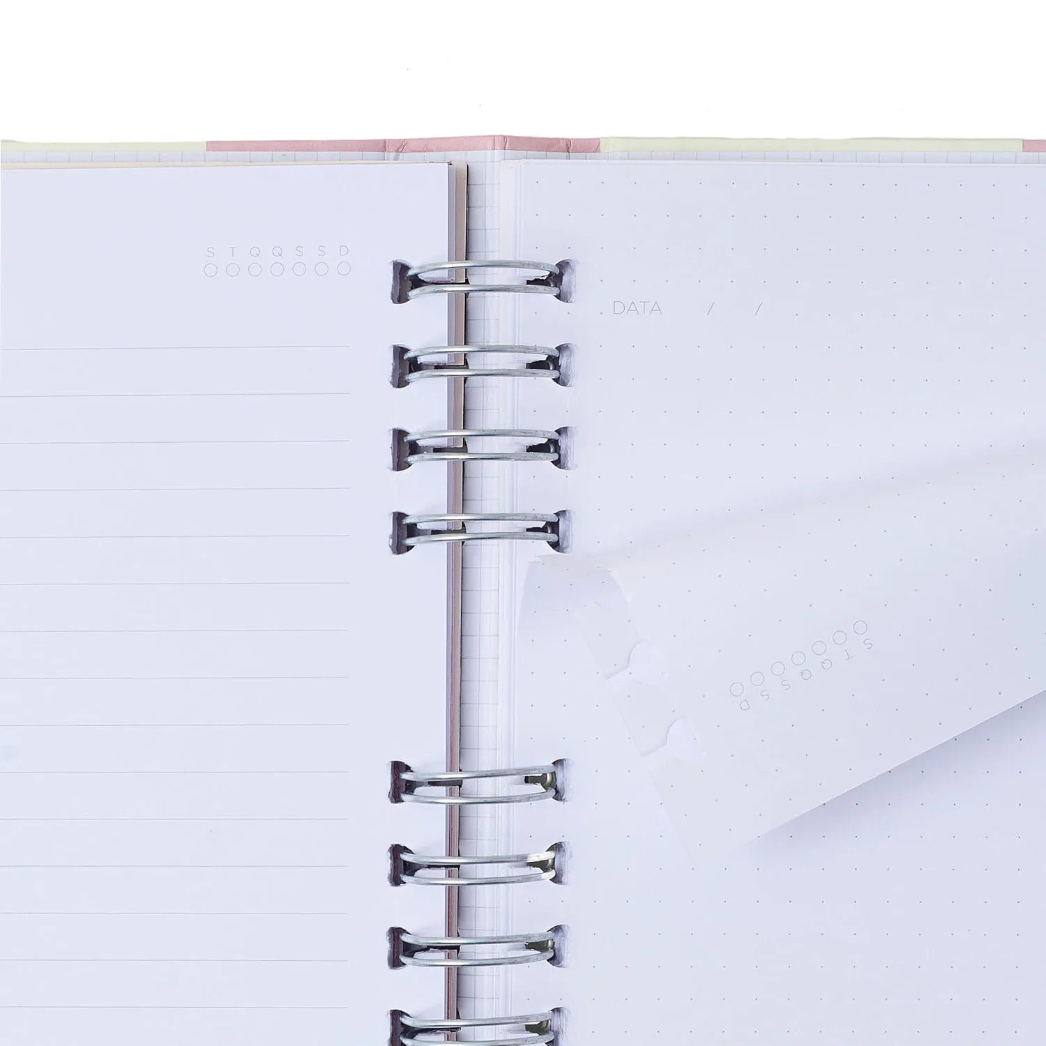 CADERNO ORGANIZADOR PAUTADO PONTADO 17X24 CICERO MELISSA - Imagem 2