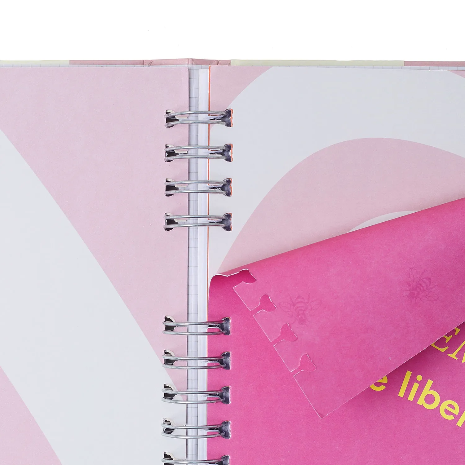 CADERNO ORGANIZADOR PAUTADO PONTADO 17X24 CICERO MELISSA - Imagem 3