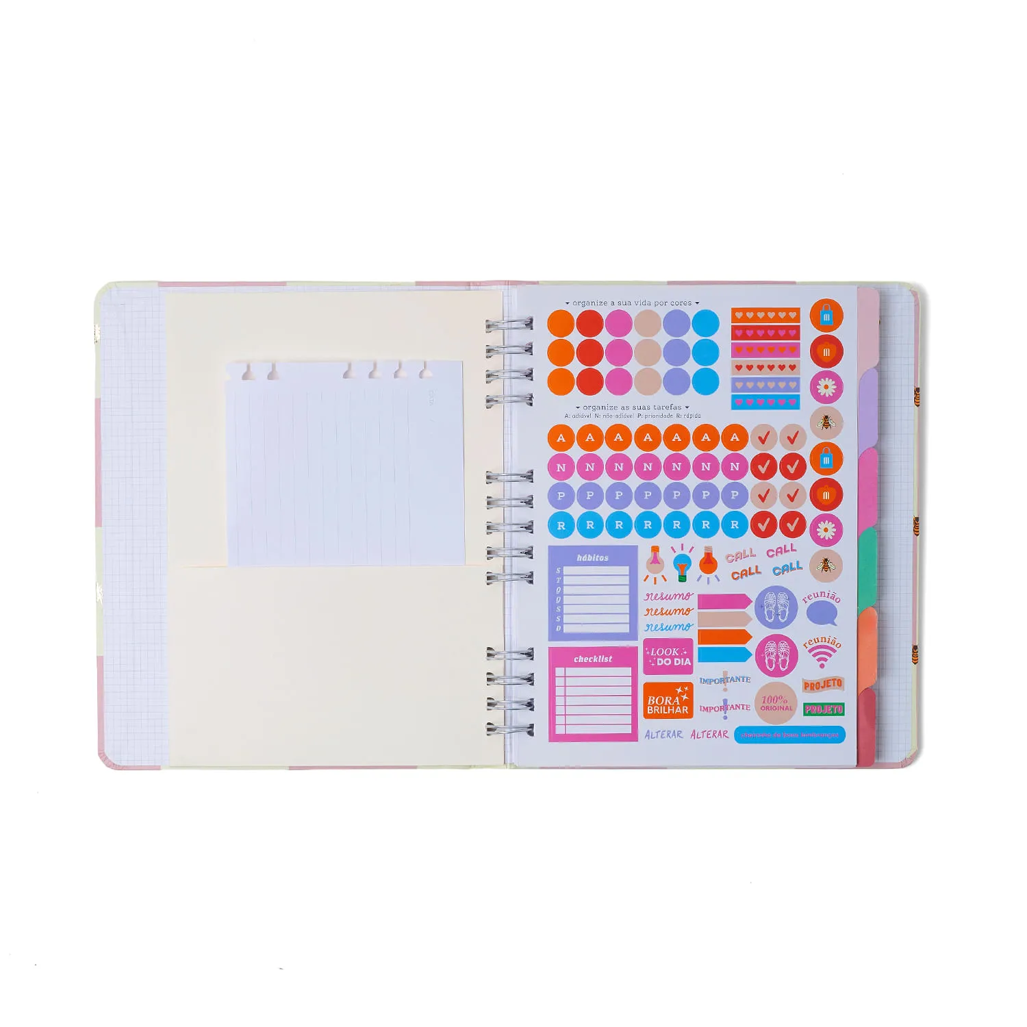 CADERNO ORGANIZADOR PAUTADO PONTADO 17X24 CICERO MELISSA - Imagem 5